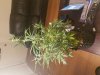 20171001_191918.jpg