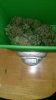 10-3 weight 1.jpg