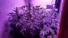 20171008_092547.jpg
