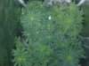 20171007_093833.jpg
