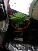 20171012_033803.jpg