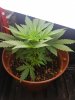 20171012_033129.jpg