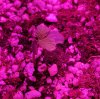 20171012_100108.jpg