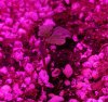 20171012_100133.jpg