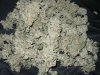 Walter White  dry.JPG