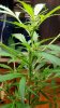 20170915_162341.jpg