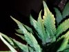 20171017_174837.jpg