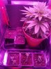 20171019_072051.jpg