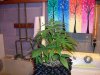 100_5392.JPG
