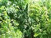 100_5509.jpg