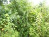 100_5397.jpg