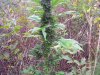 100_7916.jpg