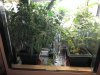 PA270004.jpg