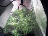 first upload 170.jpg