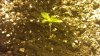 12102012127.jpg 12102012127.jpg