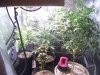 tentpics 001.jpg