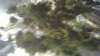 03092012091.jpg