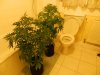 DSCN4001.jpg