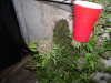 100_7961.jpg