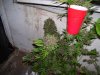 100_7962.jpg