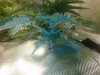 IMG_20171029_010146.jpg