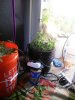 IMG_20171030_213208.jpg