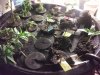 IMG_20170910_180647.jpg