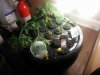 IMG_20170904_124402.jpg