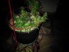 IMG_20171030_225118.jpg