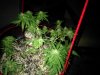 IMG_20171030_225104.jpg