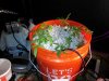 IMG_20171030_213117.jpg