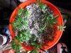 IMG_20171030_213056.jpg
