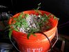 IMG_20171030_213046.jpg