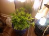 IMG_20171030_233623.jpg