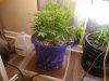 IMG_20171030_233515.jpg