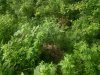 IMG_20170810_164501.jpg
