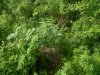 IMG_20170810_164452.jpg