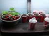 20171101_192208.jpg