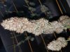20171102_145347.jpg