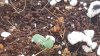 20171109_083053.jpg
