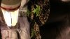 20171112_083517.jpg