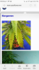 Screenshot_20171114-200024.png