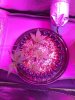 100917-1.JPG