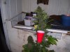 100_7960.jpg