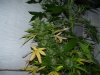 100_8012.jpg