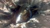 2012-11-06_16-40-21_966.jpg
