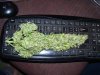 100_8276.jpg