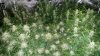 20171117_112946.jpg