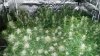 20171117_113007.jpg