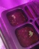 IMG_20170930_072021.jpg